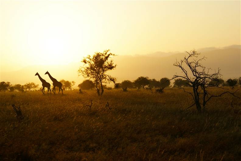 Kenia, Tanzania i Zanzibar - safari z wypoczynkiem