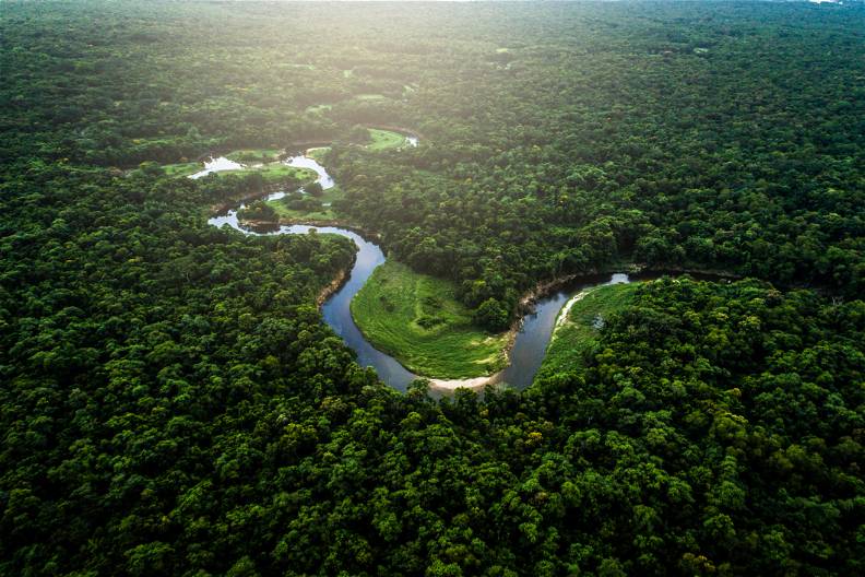 Nieokiełznana przyroda - Manaus, Iguacu