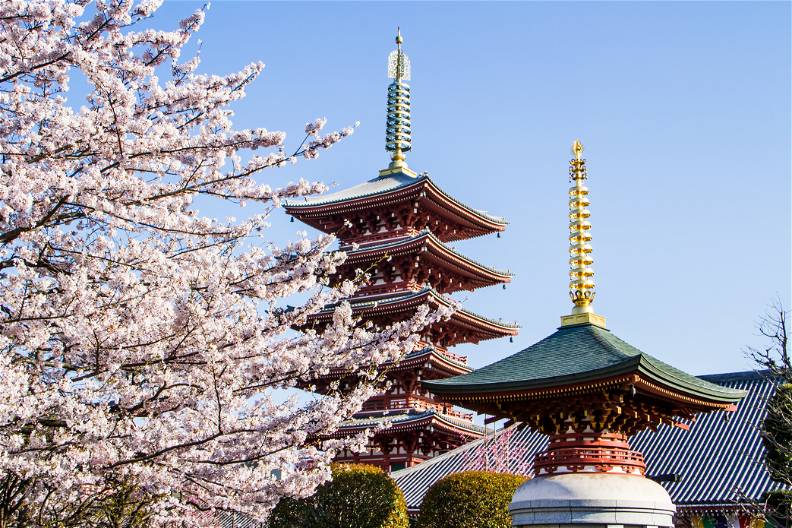 Japonia - w krainie gejsz i samurajów